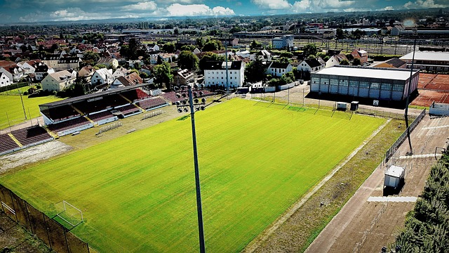 对战浙江队 对战浙江队