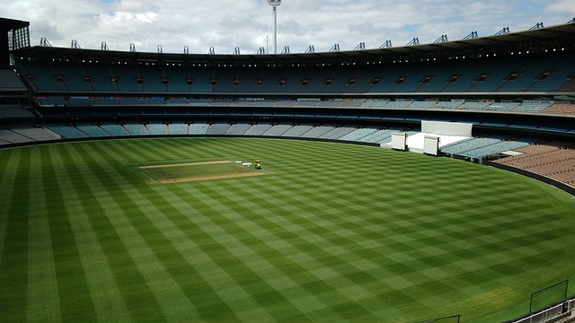 项目概况与 项目概况与