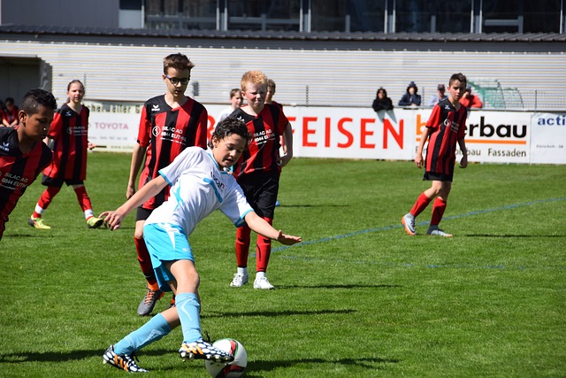 家队的可用 家队的可用