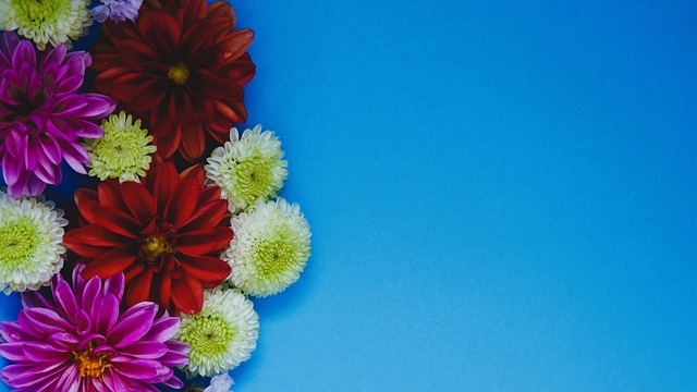 东契奇被交易后影响多大？独行侠主场票价骤降40% 湖人上涨19%.