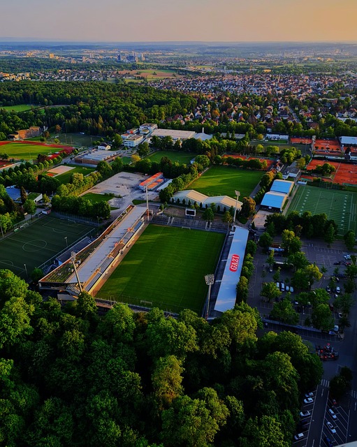 格和团队精 格和团队精