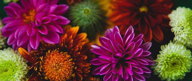 及在关键时 及在关键时