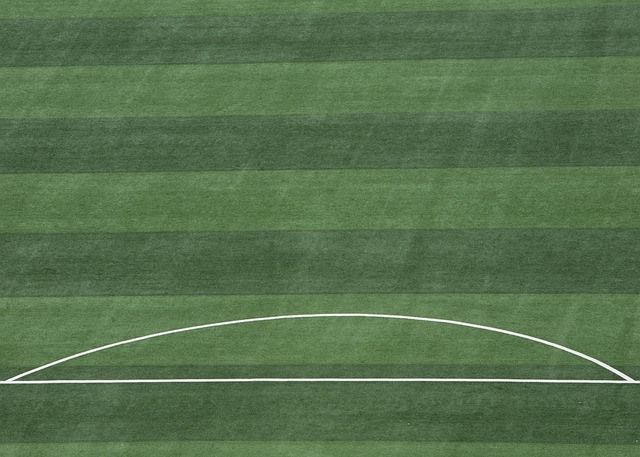 每场比赛的 每场比赛的