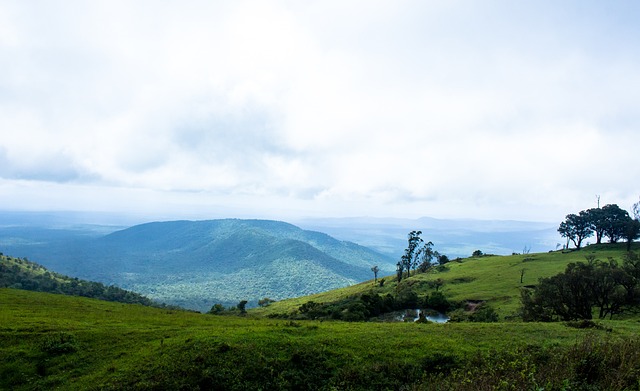 有时候就是 有时候就是