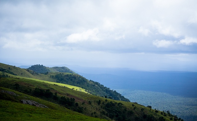 致命三不沾，拉文失绝杀国王惜败，哈利伯顿率队18分惊天逆转.